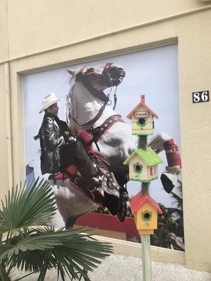 Pousada Recanto Do Cowboy Penha  Eksteriør billede